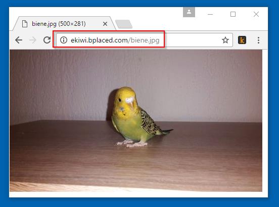 Bild eines FTP-Uploads